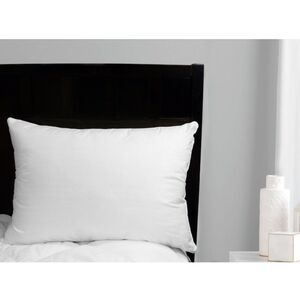 Mainstays Comfort Complete Bed Pillow, Standard/Queen